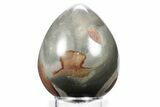 Polished Polychrome Jasper Egg - Madagascar #359029-1